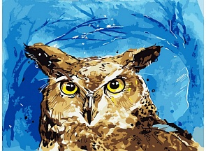 Раскраска по номерам - Филин, 40 х 50 см. (Белоснежка, 816-AB)